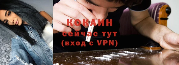 спиды Кукмор