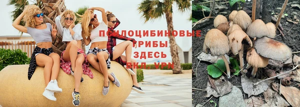 спиды Кукмор