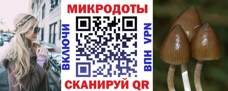 Галлюциногенные грибы мухоморы blacksprut tor Курильск