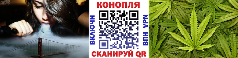 мориарти наркотические препараты  даркнет сайт  Курильск  Бошки Шишки сатива 